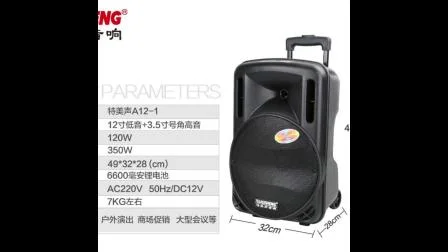 Temeisheng 12 Inch Rechargeable Tws Bt Portable Trolley Party Speakers with Two Wireless Mic FM Radio A12