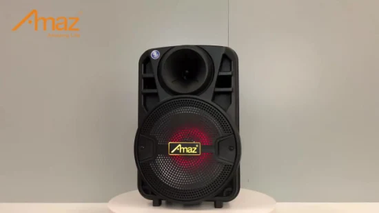 Amaz Portable Speakers 8 Inch Mini Party Speaker with Mic