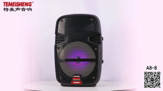 8inch Portable Bluetooth PA System with Outdoor Party Speaker