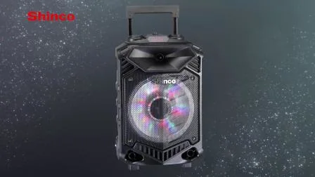 Rechargeable Trolley Bluetooth Battery Speaker Box with USB SD Wireless Mic and Light