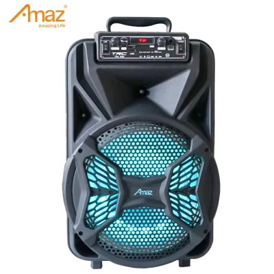 Bluetooth PA Speaker System with Wireless Microphone12 Inch Highet Portable Outdoor Karaoke Speaker